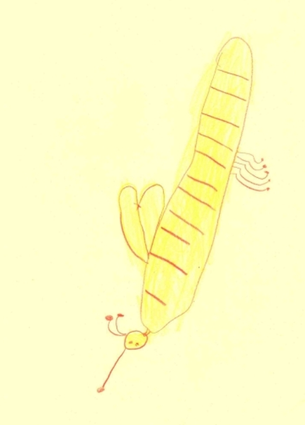 Bee on the Wall
